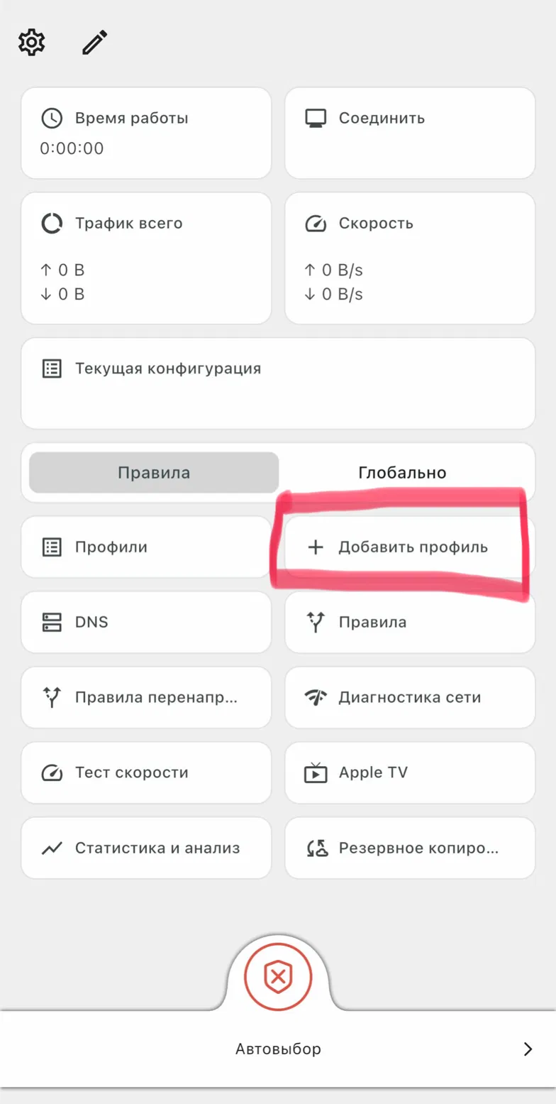Добавление профиля в Karing